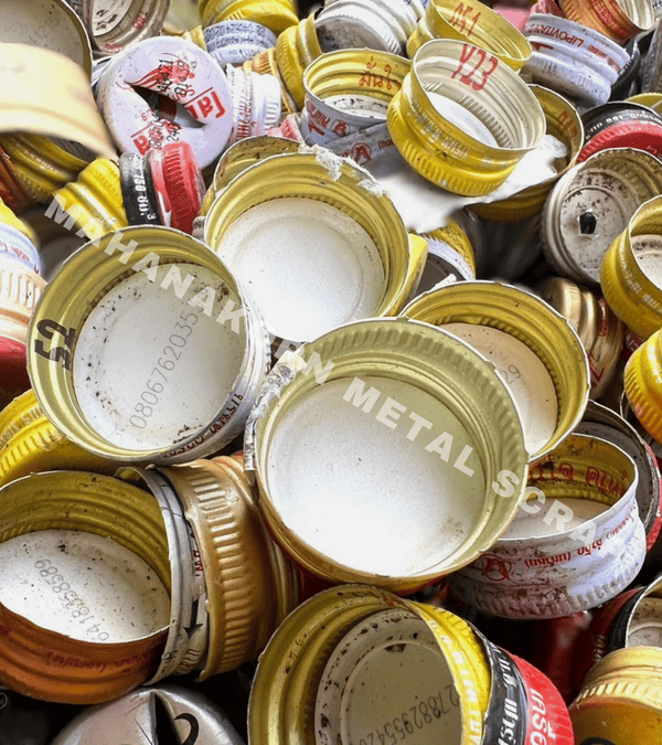 ฝาจุกไม่แกะ